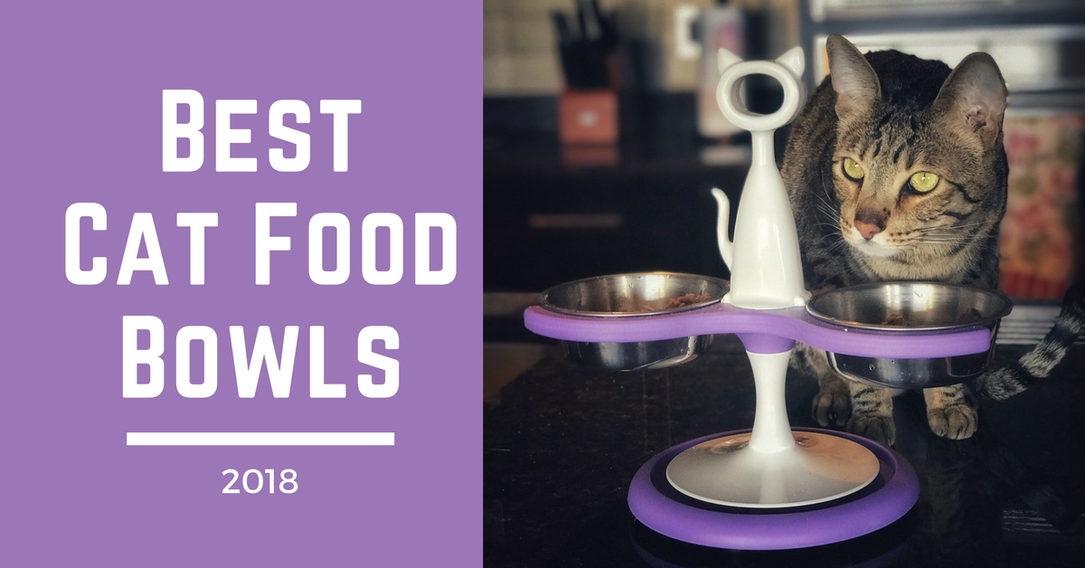 Best rated cat food 2018 sale