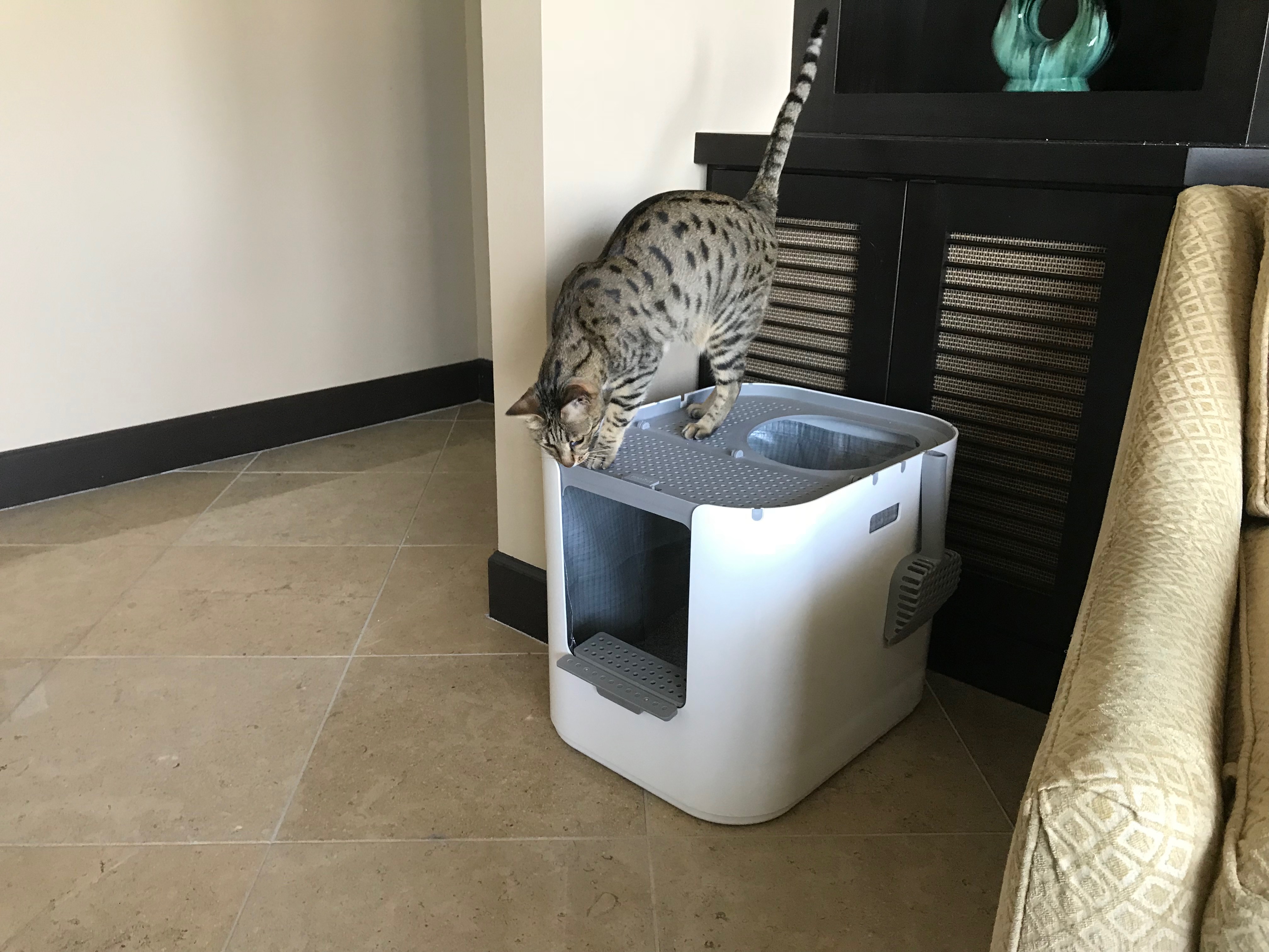 top entry automatic litter box