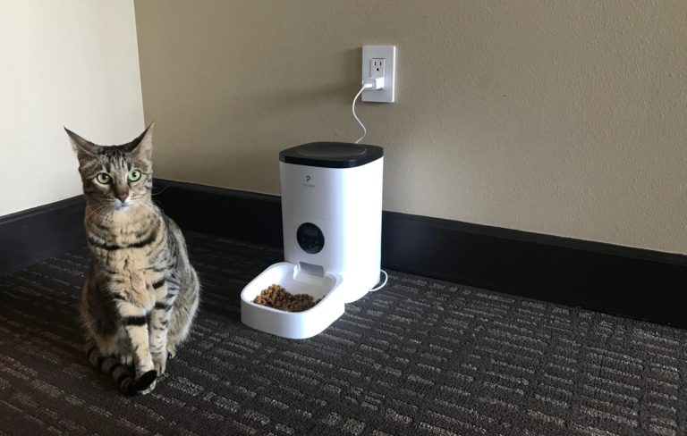petlibro automatic cat feeder reddit