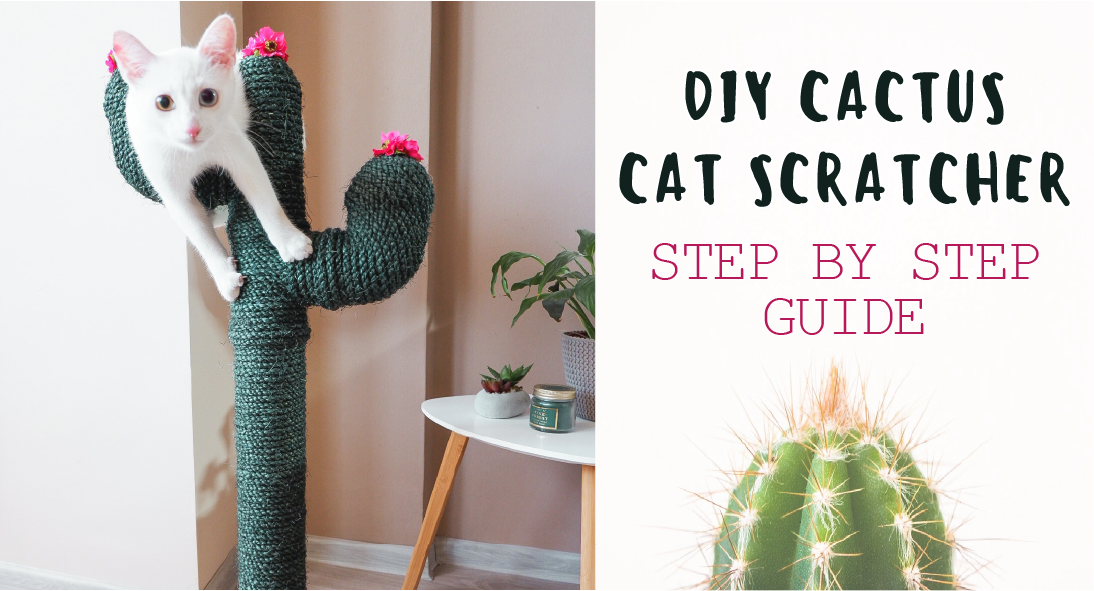 DIY Cactus Cat Scratcher | Kitty Loaf